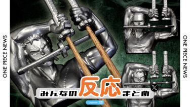 【みんなの反応まとめ】まさかのゾロの〇〇が登場！｜ライフサイクルグッズ！